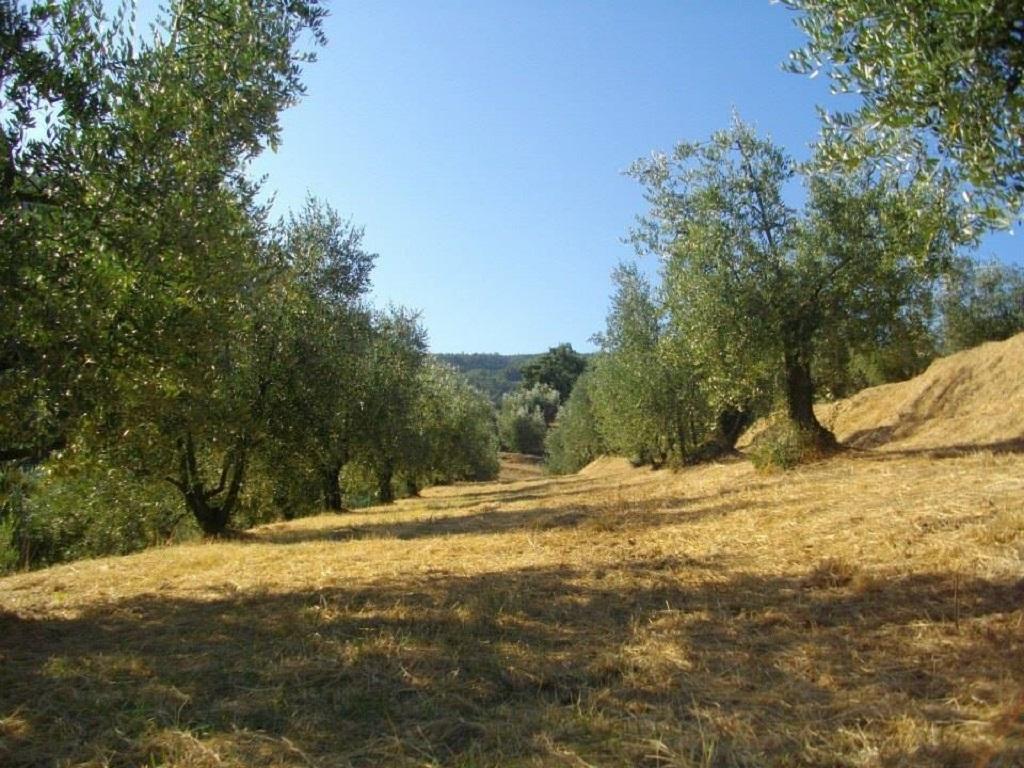 Agriturismo Terrarossa Pistoia Exterior photo